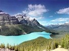 Alfa Agency Canada